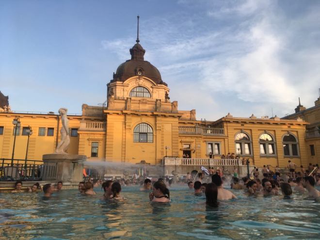 32768030_1891078730937617_4692818307131113472_n