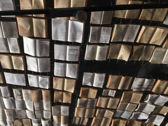 Decorative ceiling at Foxords's Cafe, my favorite study spot.