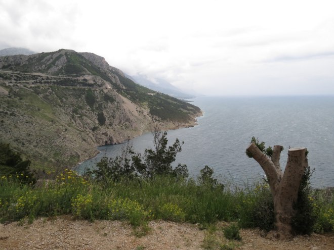 57325213_814970108889592_4920836656291905536_n